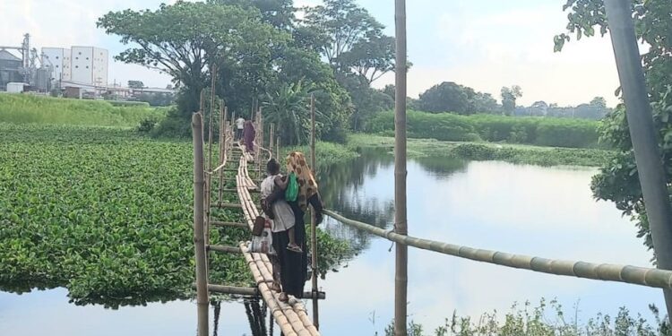 আঙ্গুল ফুলে কালাগাছ অনেকের কিন্তু দুর্ভোগে নেই কারো দৃষ্টি !