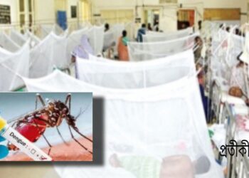 নগরীতে ডেঙ্গুর প্রকোপ মারাত্মক ! মশা নিধন কার্যক্রমে স্থবিরতা