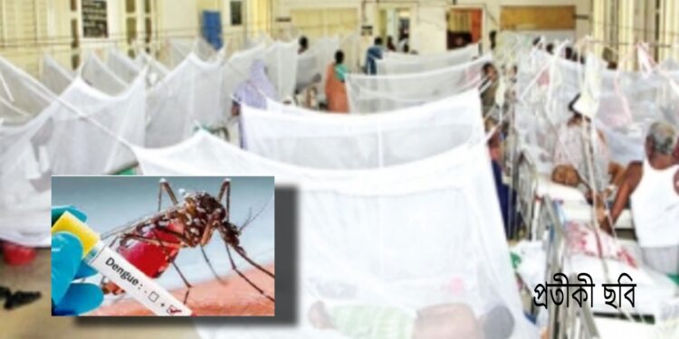 নগরীতে ডেঙ্গুর প্রকোপ মারাত্মক ! মশা নিধন কার্যক্রমে স্থবিরতা