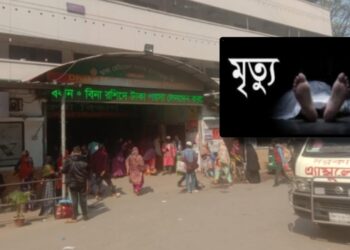 চিকিৎসা শেষে সুস্থ হয়ে বাড়ি ফেরার পথে সড়কে কেড়ে নিলো বৃদ্ধার প্রাণ