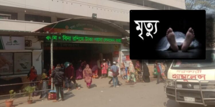 চিকিৎসা শেষে সুস্থ হয়ে বাড়ি ফেরার পথে সড়কে কেড়ে নিলো বৃদ্ধার প্রাণ