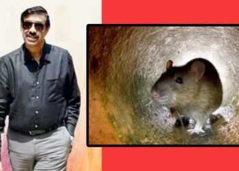 ইঁদুরের মতো পালালো সিংহপুরুষ শামীম ওসমান