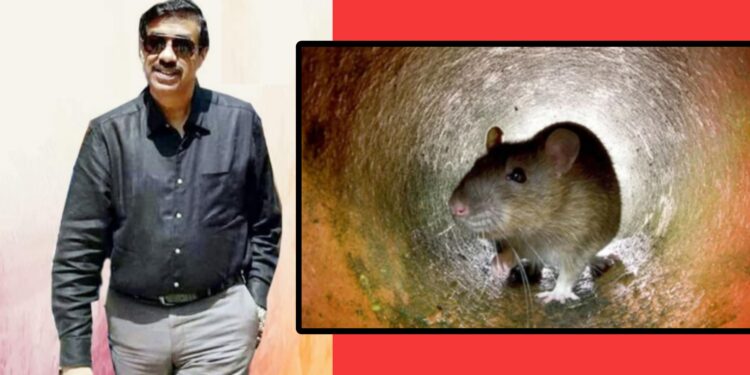 ইঁদুরের মতো পালালো সিংহপুরুষ শামীম ওসমান