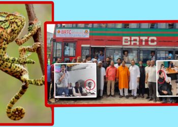 গিরগিটির মতো রঙ পাল্টে লিটন-রিপনের ফের সাম্রাজ্য দখল