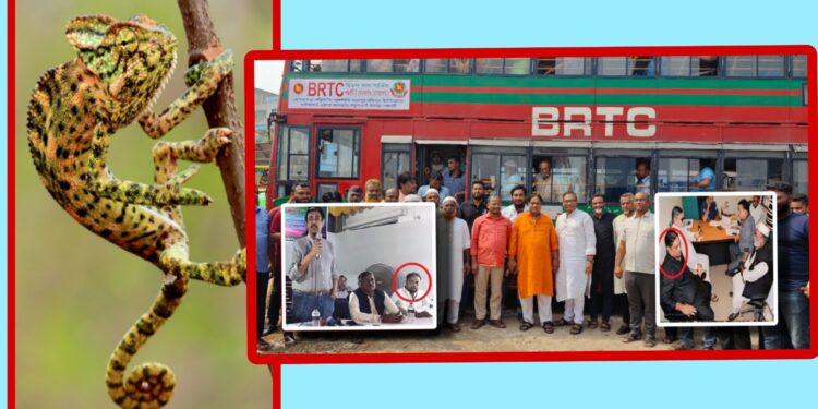 গিরগিটির মতো রঙ পাল্টে লিটন-রিপনের ফের সাম্রাজ্য দখল