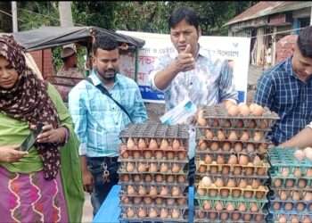 আড়াইহাজারে প্রানী সম্পদ অফিসের আয়োজনে সুলভ মূল্যে ডিম বিক্রি শুরু