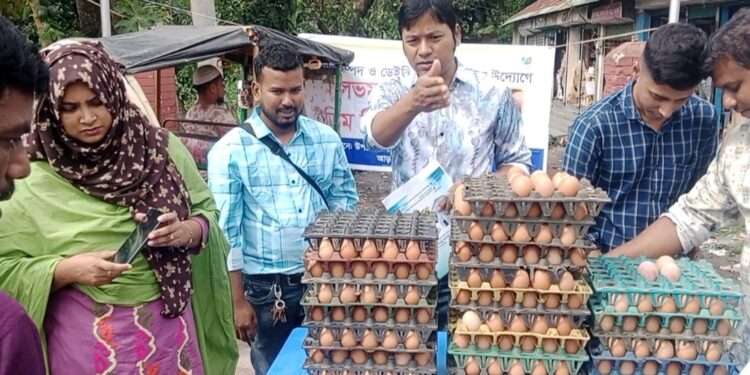 আড়াইহাজারে প্রানী সম্পদ অফিসের আয়োজনে সুলভ মূল্যে ডিম বিক্রি শুরু