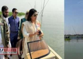 সোনারগাঁয়ে মেঘনা নদীর মাছে ঘের উচ্ছেদ