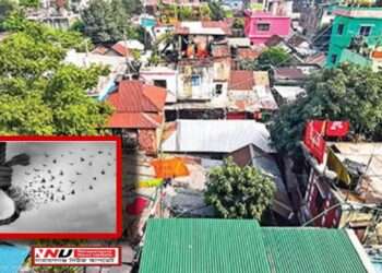 ঋণের বোঝায় চনপাড়ায় ষাটোর্ধ বৃদ্ধের আত্মহত্যা