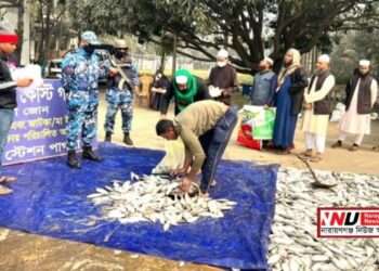 ১২ দিনের ব্যবধানে আবার হাজার হাজার কেজি জাটকা জব্দ