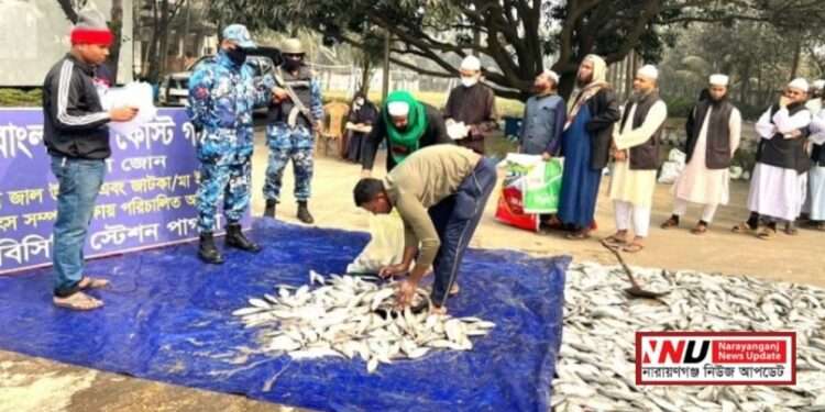 ১২ দিনের ব্যবধানে আবার হাজার হাজার কেজি জাটকা জব্দ