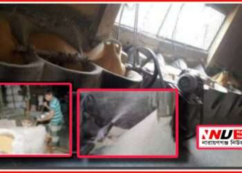 বিষাক্ত মুড়ি তৈরীতে চুক্তি : ‘ভোক্তাসহ কোন সংস্থা করবে না অভিযান !’