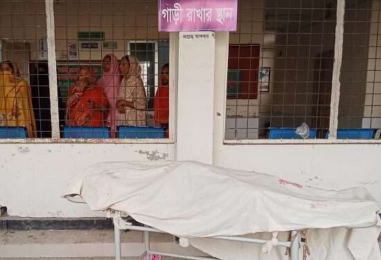 পিকআপ ভ্যান খাদে পড়ে আড়াইহাজারে গরু ব্যবসায়ী নিহত