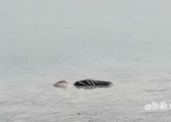 সোনারগাঁয়ে পুকুর থেকে অজ্ঞাত মরদেহ উদ্ধার