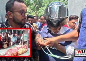 আড়াইহাজারে স্ত্রীকে গলাকেটে হত্যা, স্বামী আটক