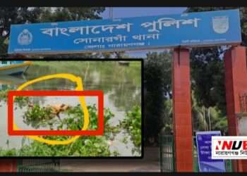 হাত পা বাঁধা অজ্ঞাত নারীর মরদেহ উদ্ধার