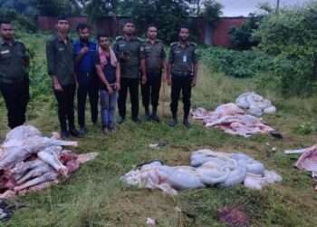 ঘোড়ার জবাই করা মাংসসহ আটক ১