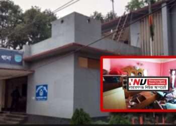 উদ্ধারের পর পুলিশ ফাঁড়ি থেকে গরু লুট