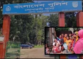 পানিতে ডুবে দুই ভাই বোনের মৃত্যু