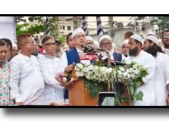 ইসলামকে স্বার্থে ব্যবহার করছে একটি দল : সালাহউদ্দিন আহমদ