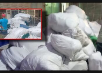 তিন কোটি টাকার নিষিদ্ধ চায়না জাল জব্দ