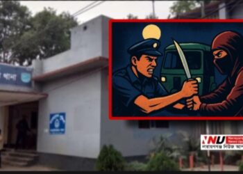 পুলিশের সিএনজিতে ডাকাতদের হানা : ধস্তাধস্তিতে আহত