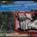 ভিক্ষুক নারীকে ধর্ষণচেষ্টার অভিযোগে বিএনপি কর্মী পলাতক