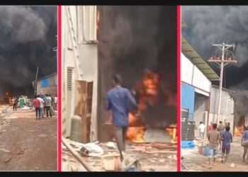 বন্দরে ককশিট কারখানায় অগ্নিকাণ্ড : এক ঘণ্টায় নিয়ন্ত্রণ