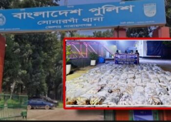 দশ হাজার কেজি জাটকা আটক