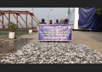 জাটকা পাচার রুখতে কাঁচপুরে কোস্ট গার্ডের মধ্যরাতের অভিযান