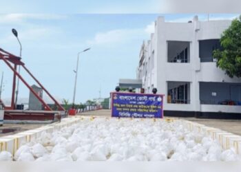 নারায়ণগঞ্জে কোটি টাকার চিংড়ি রেণু জব্দ