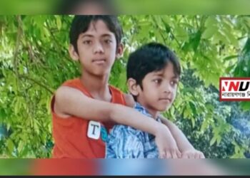 পানিতে ডুবে প্রাণ গেল দুই ভাইয়ের, স্তব্ধ সোনারগাঁও