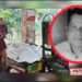 সোনারগাঁয়ে সুতা ব্যবসায়ী নিহত: ডাকাতির অভিযোগ, আটক ১