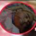 সোনারগাঁয়ে সড়ক দুর্ঘটনায় প্রাণ গেল ভূমি কর্মকর্তার