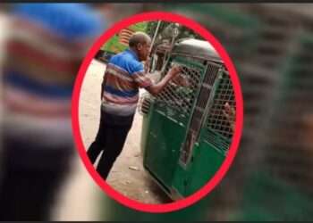 সাংবাদিককে হুমকি, চাঁদাবাজদের দাপটে জিম্মি চালকরা