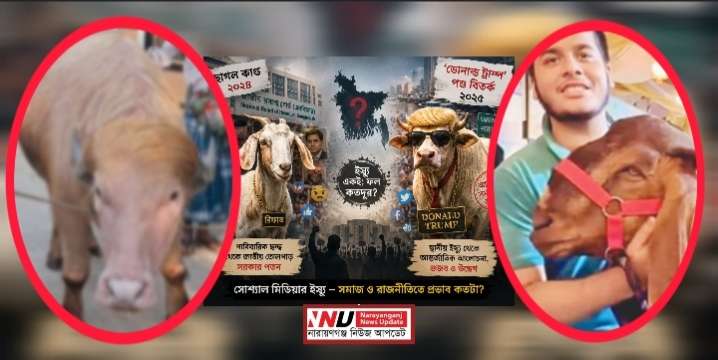 ছাগল কাণ্ডের স্মৃতি, ‘ডোনাল্ড ট্রাম্প’ পশুতে নতুন তোলপাড়