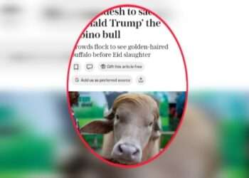 বাংলাদেশের মহিষ, নাম তার ‘ডোনাল্ড ট্রাম্প’!