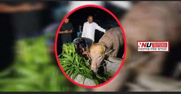 ব্যাপক তোলপাড় : চিড়িয়াখানায় বন্দি ‘ট্রাম্প’