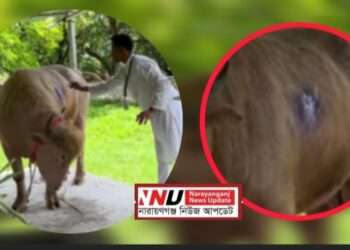 আঘাত পেয়েছে ‘ডোনাল্ড ট্রাম্প’