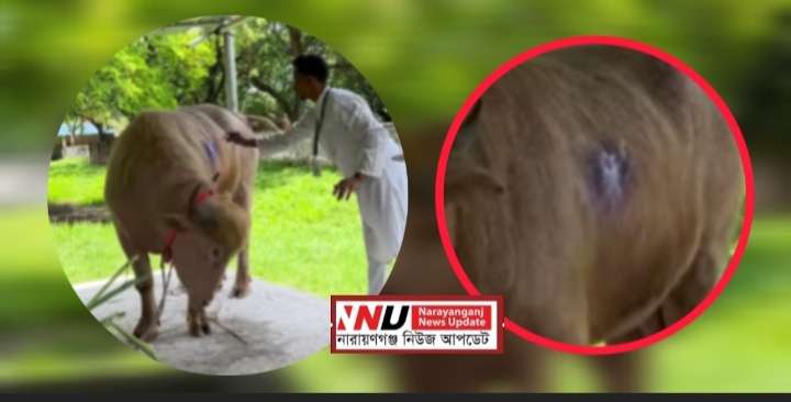 আঘাত পেয়েছে ‘ডোনাল্ড ট্রাম্প’