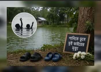 নানাবাড়িতে বেড়াতে এসে পানিতে ডুবে দুই ভাইয়ের মৃত্যু