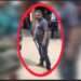 প্রকাশ্যে হামলা : দন্ডপ্রাপ্ত ডাকাত বিতর্কিত যুবদল নেতা বহিষ্কার