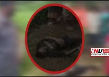 আড়াইহাজারে অটো ছিনতাই: চালককে কুপিয়ে হত্যা