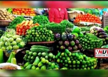 সবজির বাজারে আগুন, শশা-মরিচ ডাবল সেঞ্চুরি