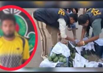 আমের ক্যারেটে মাদক, রূপগঞ্জে আটক ১