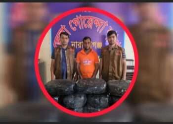 ডিবির জালে ২২ কেজি গাঁজা, ধরা খেলো কারবারি