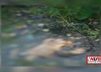 রূপগঞ্জে পরিত্যক্ত পুকুরে অজ্ঞাত যুবকের লাশ