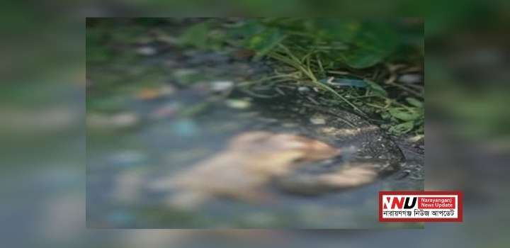 রূপগঞ্জে পরিত্যক্ত পুকুরে অজ্ঞাত যুবকের লাশ