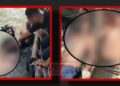 মেঘনার স্রোতে নিভে গেল ৩ কিশোরের প্রাণ, মরদেহ উদ্ধার
