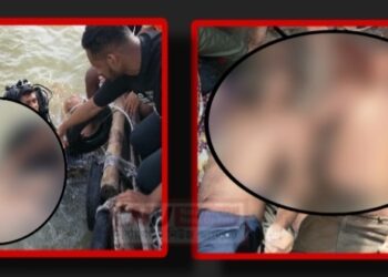 মেঘনার স্রোতে নিভে গেল ৩ কিশোরের প্রাণ, মরদেহ উদ্ধার